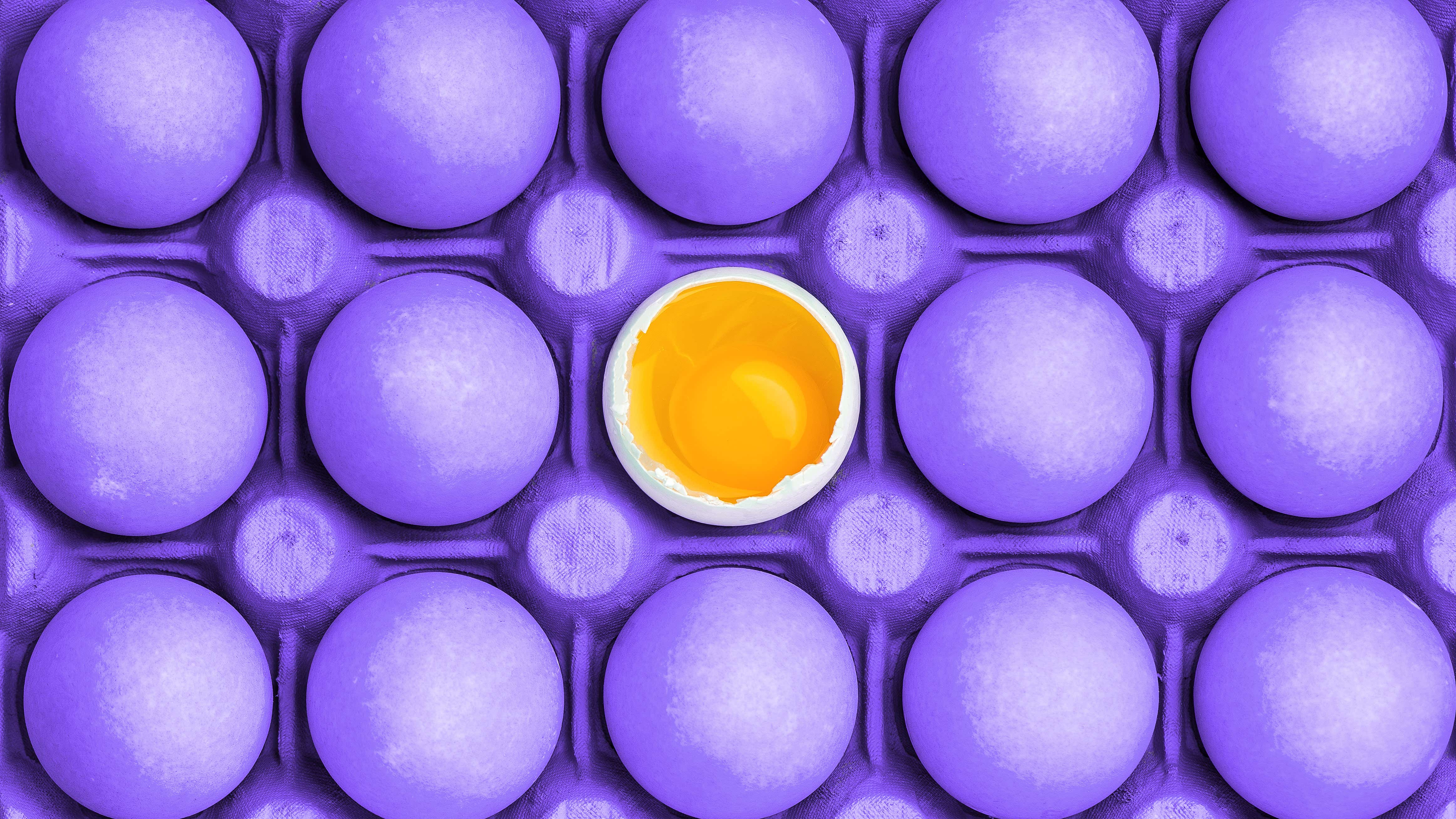 Minimal visual art design with eggs - AJANSNET TASARIM DİJİTAL İÇERİK GELİŞTİRME YAZILIM YAYINCILIK GIDA SANAYİ TİCARET LTD. ŞTİ.